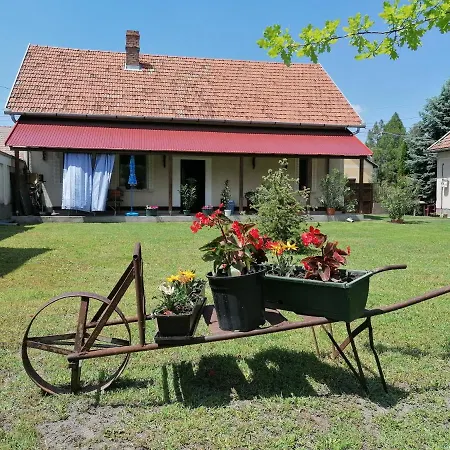 Istvan Vendeghaz Apartment